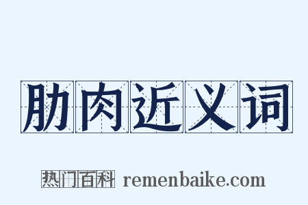 肋肉近义词是什么意思的图片
